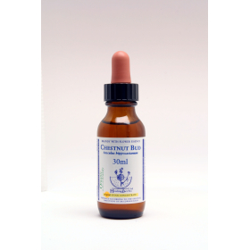 Chestnut Bud Healing Herbs 30 ml (Bourgeon de Marronnier) Healing Herbs 1 - mesfleursdebach.com 