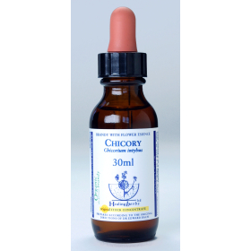 Chicory Healing Herbs 30 ml (Chicorée) Healing Herbs 1 - mesfleursdebach.com 