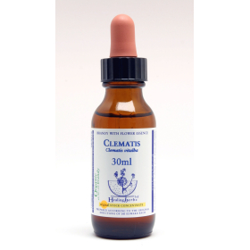 Clematis Healing Herbs 30 ml (Clématite) Healing Herbs 1 - mesfleursdebach.com 