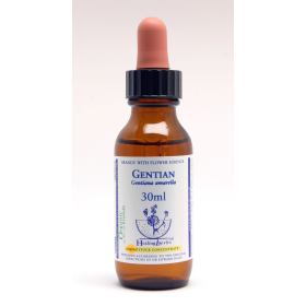 Gentian Healing Herbs 30 ml (Gentiane) Healing Herbs 1 - mesfleursdebach.com 