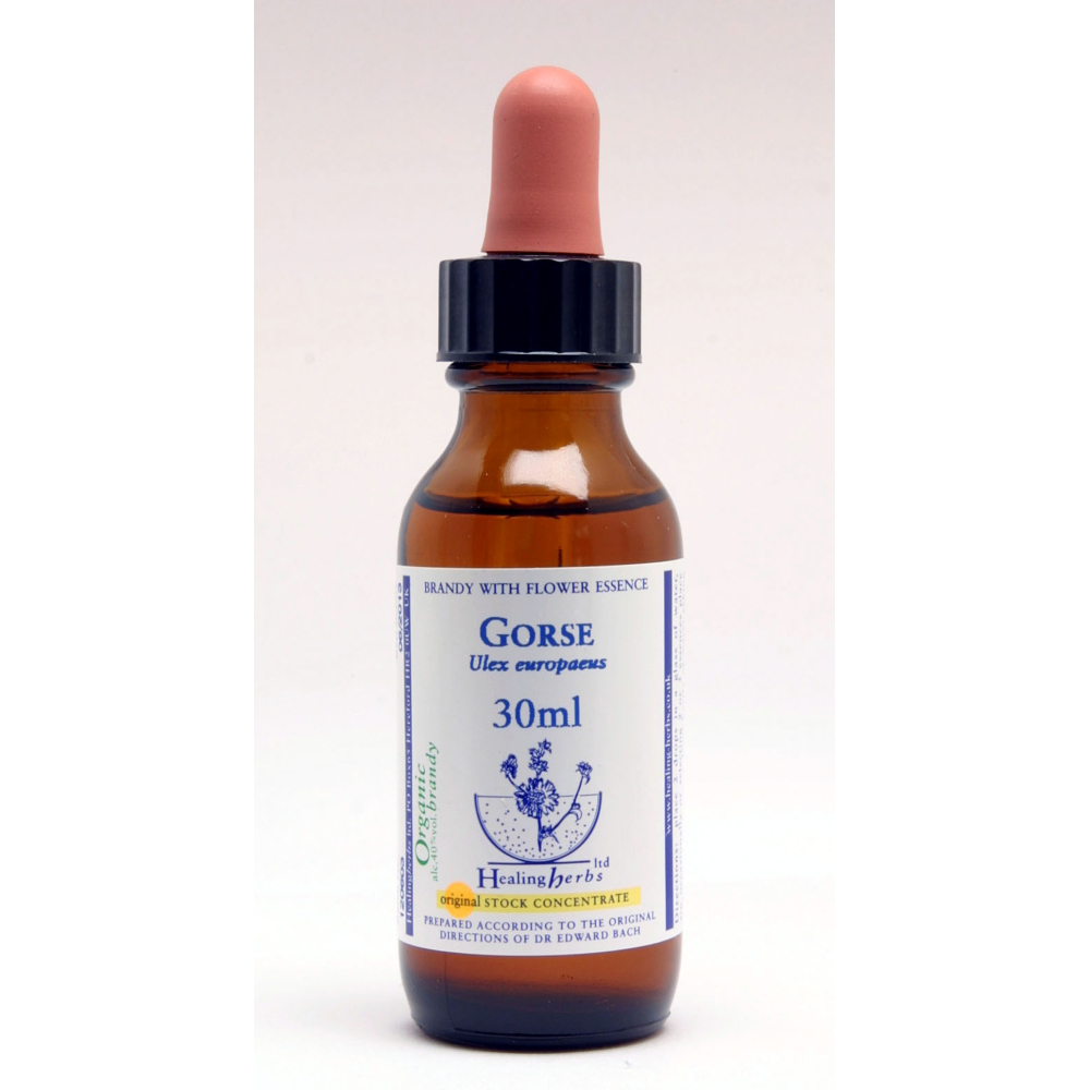 Gorse Healing Herbs 30 ml (Ajonc) Healing Herbs 1 - mesfleursdebach.com 