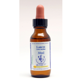 Larch Healing Herbs 30 ml (Mélèze) Healing Herbs 1 - mesfleursdebach.com 