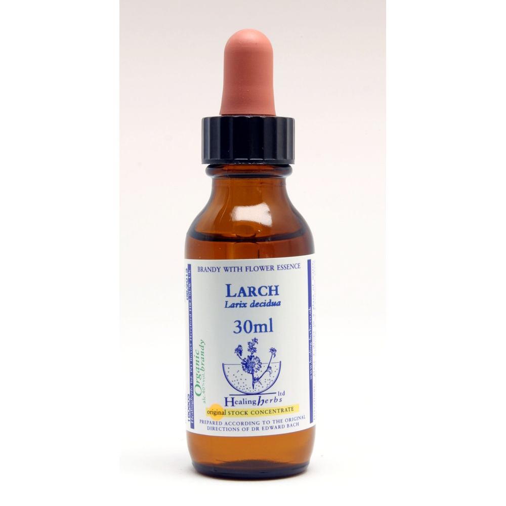 Larch Healing Herbs 30 ml (Mélèze) Healing Herbs 1 - mesfleursdebach.com 