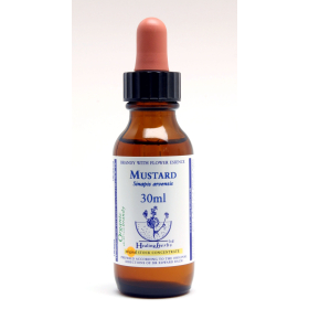 Mustard Healing Herbs 30 ml (Moutarde) Healing Herbs 1 - mesfleursdebach.com 