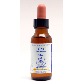 Oak Healing Herbs 30 ml (Chêne) Healing Herbs 1 - mesfleursdebach.com 