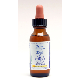 Olive Healing Herbs 30 ml (Olive) Healing Herbs 1 - mesfleursdebach.com 
