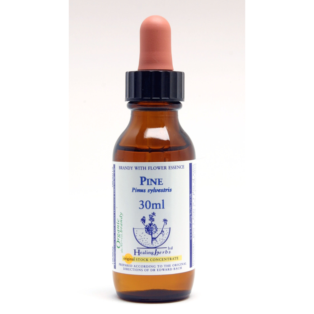 Pine Healing Herbs 30 ml (Pin Sylvestre) Healing Herbs 1 - mesfleursdebach.com 