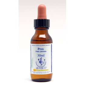 Pine Healing Herbs 30 ml (Pin Sylvestre) Healing Herbs 1 - mesfleursdebach.com 