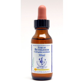 Star of Bethlehem Healing Herbs 30 ml (Étoile de Bethléem) Healing Herbs 1 - mesfleursdebach.com 