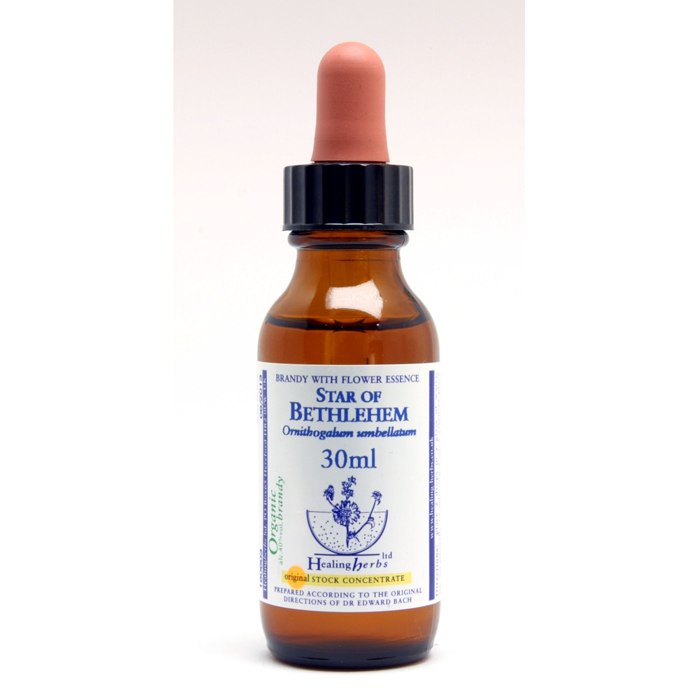 Star of Bethlehem Healing Herbs 30 ml (Étoile de Bethléem) Healing Herbs 1 - mesfleursdebach.com 