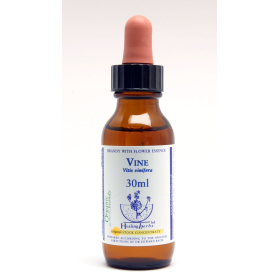 Vine Healing Herbs 30 ml (Vigne) Healing Herbs 1 - mesfleursdebach.com 