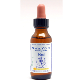 Water Violet Healing Herbs 30 ml (Violette d'Eau ou Hottonie des marais) Healing Herbs 1 - mesfleursdebach.com 