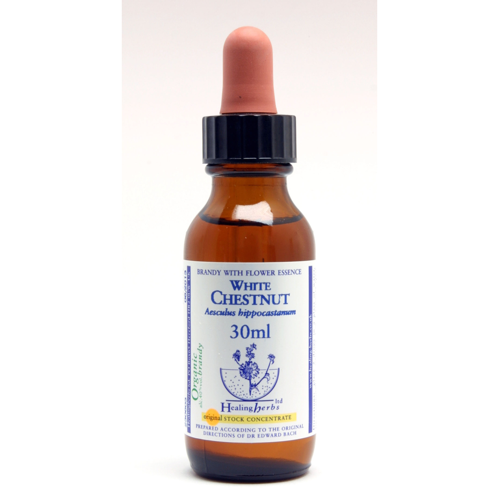 White Chestnut Healing Herbs 30 ml (Marronnier Blanc) Healing Herbs 1 - mesfleursdebach.com 
