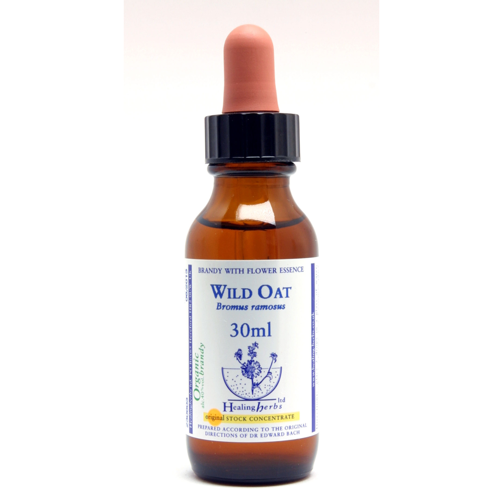 Wild Oat Healing Herbs 30 ml (Folle Avoine) Healing Herbs 1 - mesfleursdebach.com 