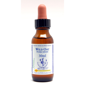 Wild Oat Healing Herbs 30 ml (Folle Avoine) Healing Herbs 1 - mesfleursdebach.com 