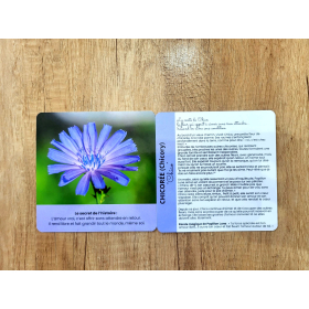 Cartes - Le jardin secret des élixirs floraux par Sarah Lenègre [product.brand] 1 - mesfleursdebach.com 