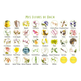 Coffret complet 38 Fleurs de Bach DEVA BIO 30ml +2 Rescue - Coffret en chêne de Bourgogne [product.brand] 6 - mesfleursdebach.co