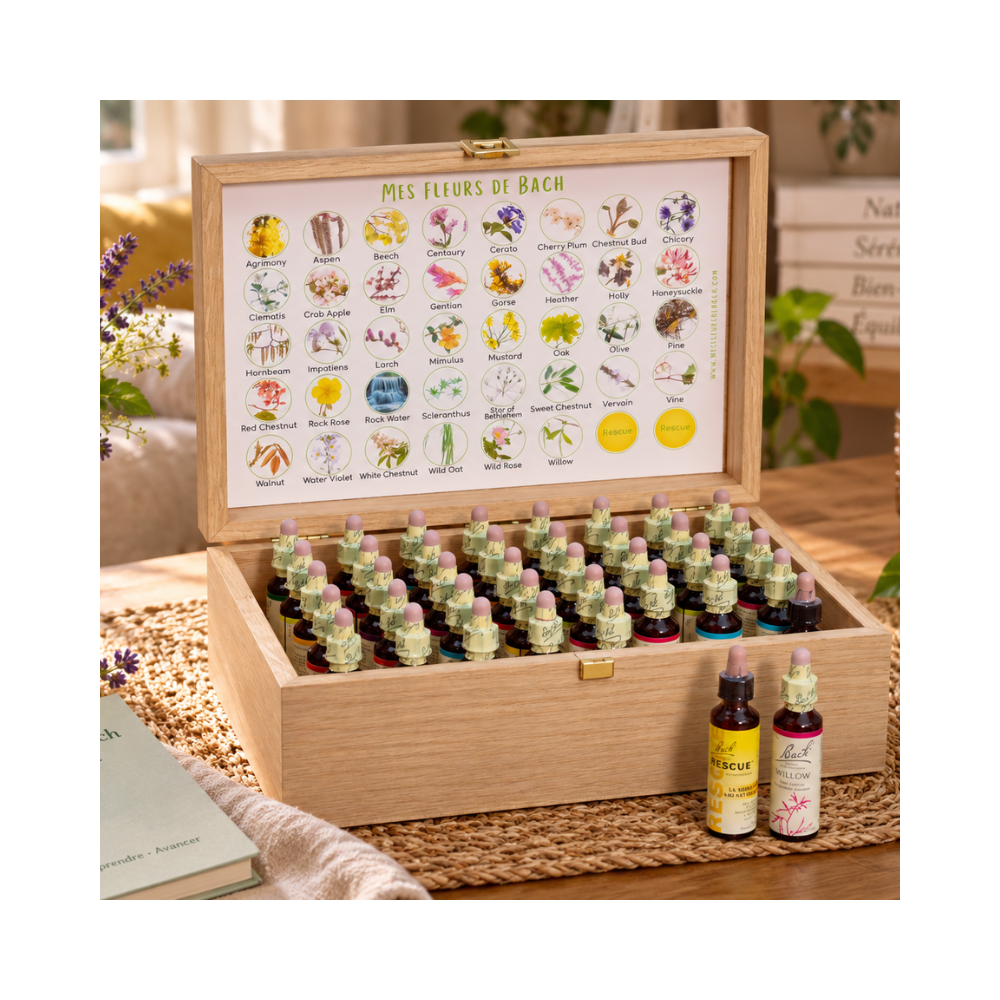 Bach original 20ml - Coffret 38 fleurs + 2 rescue – Coffret en chêne de Bourgogne Bach Original Nelsons 1 - mesfleursdebach.com 