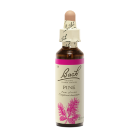 Bach original 20ml - Coffret 38 fleurs + 2 rescue – Coffret en chêne de Bourgogne Bach Original Nelsons 1 - mesfleursdebach.com 