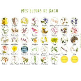 Coffret complet 38 Fleurs de Bach Healing Herbs BIO 10ml +2 Rescue - Coffret en chêne de Bourgogne Healing Herbs 5 - mesfleursde