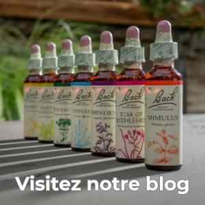 Blog Mes fleurs de Bach