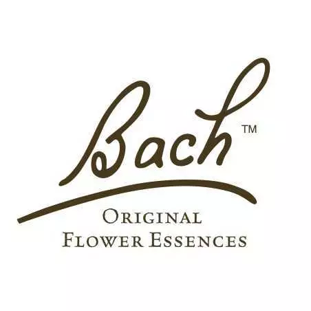 Bach Original Nelsons